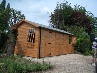 Garden Shed 12